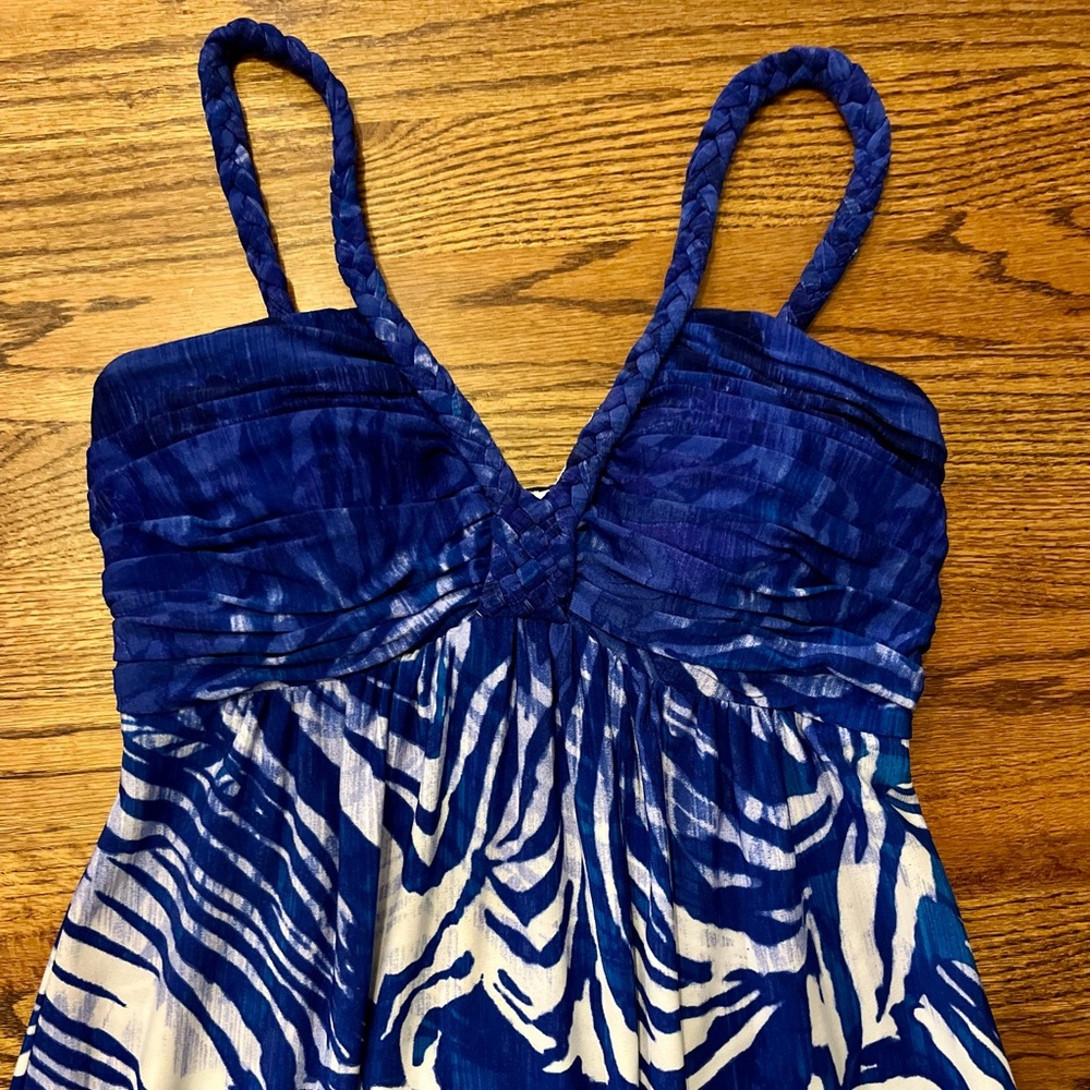 Boston Proper Blue & White Maxi Dress